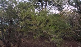 1 COUNTY ROAD N8155, Concho, AZ 85924
