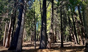 3285 Pocatello Cir, Camp Connell, CA 95223
