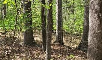 1642 R2 Kersey Valley Rd, Archdale, NC 27265