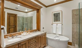 386 Pfister Dr, Aspen, CO 81611