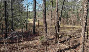 Lot 0 Dearmanville Road, Anniston, AL 36207