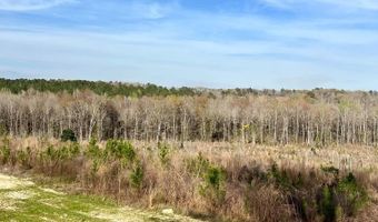 5000 County Road 53, Banks, AL 36005