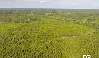Flowers Road, Bay Minette, AL 36507