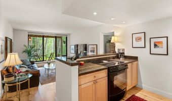 412 Vine St, Aspen, CO 81611