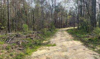 02 County Road 6650, Banks, AL 36005