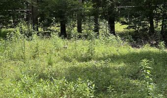 TBD Paint Fork Rd, Barnardsville, NC 28709
