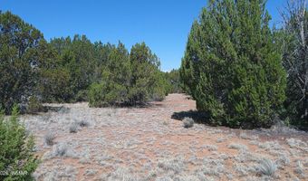 Concho Valley lot 3, Concho, AZ 85924