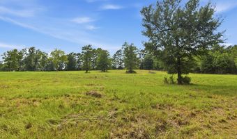 115355 115353 CR 2501, Alto, TX 75925