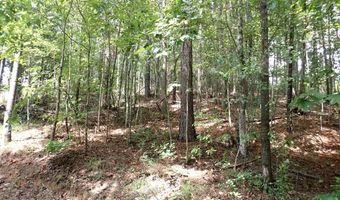 Adams Road, Bankston, AL 35542
