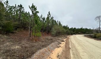 Tract # 6418 N Mattox Springs Road N5, Caryville, FL 32427