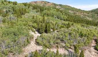 Tract A, Anaconda, MT 59711