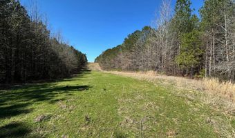 3 County Road 5112, Ethel, MS 38829