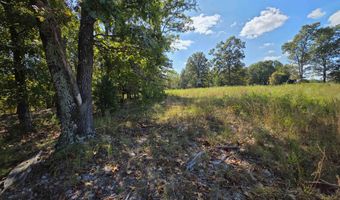 3013-3015 Possum Trot Rd, Ash Flat, AR 72513