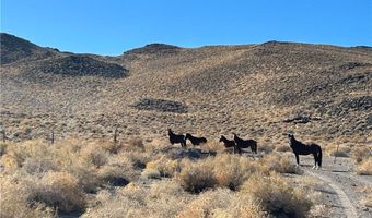 0 SAND SPRINGS Rd, Dyer, NV 89010