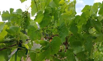 59 Wagon Rd, Alpine, TX 79830