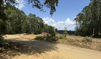 SE Cole Drive, Bogue Chitto, MS 39629