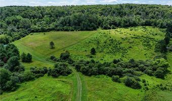 9085 Old State Rd, Angelica, NY 14709