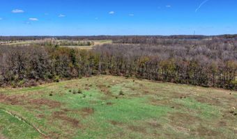 V/L W Chicago Road, Allen, MI 49227