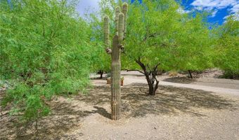 1 Silver Creek Rd, Oatman, AZ 86433