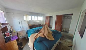 709 ALTON Ave, Orlando, FL 32804