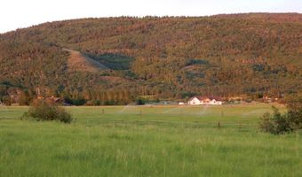 1185 S SORENSEN Way, Alta, WY 83414