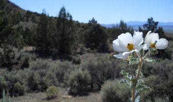 8210 Ml Crk Rd, Battle Mountain, NV 89820