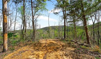 61 AC Hidden Cove Ln, Allons, TN 38541