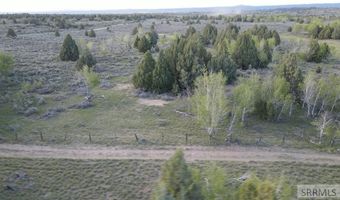 TBD 40 AC Arcadia Road, Ashton, ID 83440