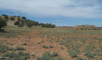 98 N9222, Concho, AZ 85924