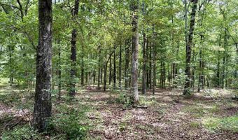 171 Vegas Ln, Beebe, AR 72012