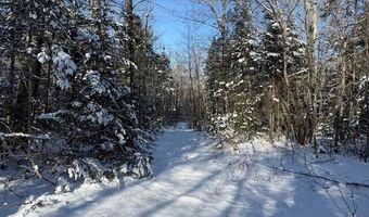 US-1 lot 10, Baring Plt, ME 04694