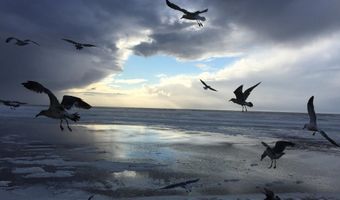 300 N PACIFIC St 37, Rockaway Beach, OR 97136