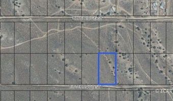 066020018 BITTERROOT St, Elko, NV 89801