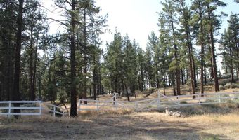 030 Butterfly Peak Rd, Mountain Center, CA 92561