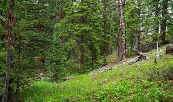 103 MARK Ct, Breckenridge, CO 80424