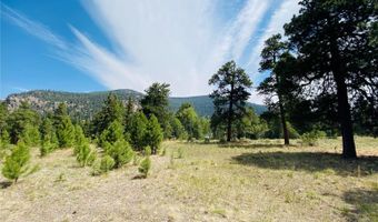 133 Canyon View Dr, Antonito, CO 81120