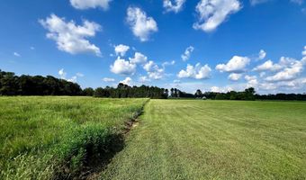 0 BAILEY Rd, Baileyton, AL 35019