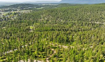210 Trading Post Trl, Bigfork, MT 59911