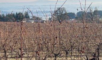 SE EOLA HILLS RD, Amity, OR 97101
