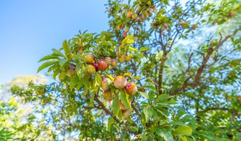 5420 Clayvale St, Acton, CA 93510