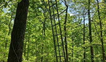 0 County Road 224, Alton, MO 65606