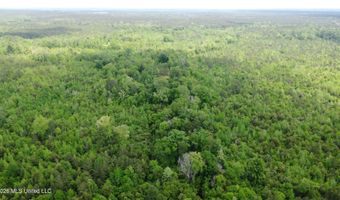 Christian Hts Road, Braxton, MS 39044