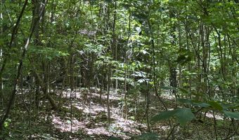 6 8 Acres Friendship South Rd, Afton, TN 37616