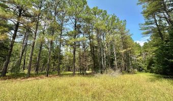 1 Champion Hill Rd, Bolton, MS 39041