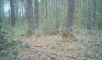 Fox Paw Court, Branchville, SC 29432