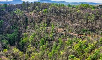 61 AC Hidden Cove Ln, Allons, TN 38541