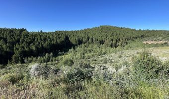 1041 HARMONY CREEK Dr, Afton, WY 83110