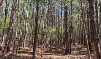 274 CR 3301, Booneville, MS 38829