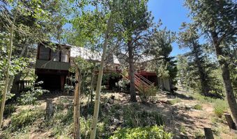 383 Evergreen Rd, Black Hawk, CO 80422