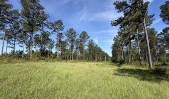 0 S County Road 33, Ashford, AL 36312